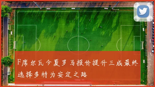 F席尔瓦今夏罗马报价提升三成最终选择多特为安定之路