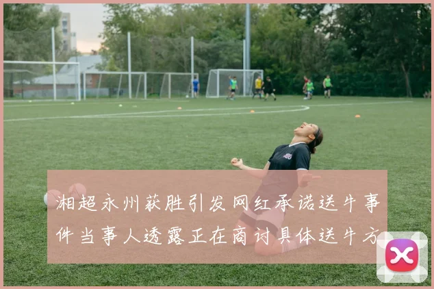 湘超永州获胜引发网红承诺送牛事件当事人透露正在商讨具体送牛方案