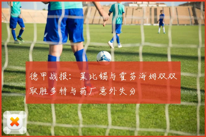 德甲战报：莱比锡与霍芬海姆双双取胜多特与药厂意外失分