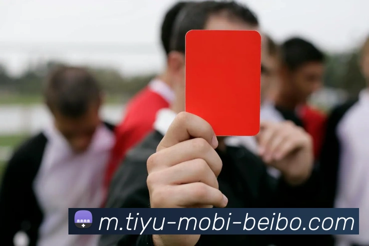 App Interface Preview