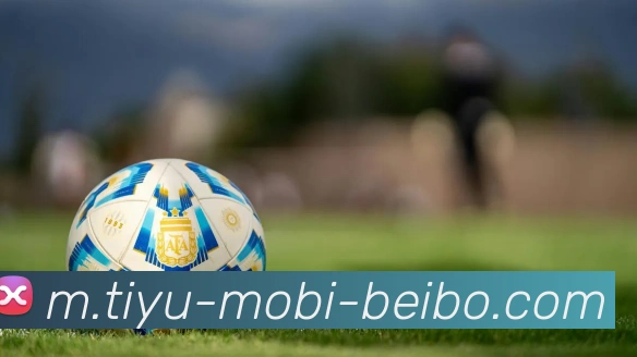 贝博体育APP 封面图